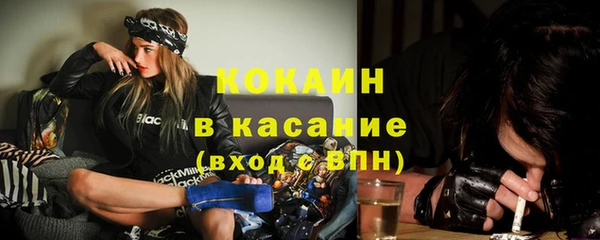 мяу мяу мука Аркадак