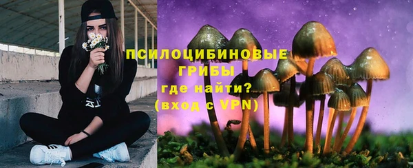 мяу мяу мука Аркадак